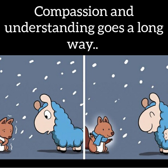 Meet your Posher, Violanda - Picture 7 of 7